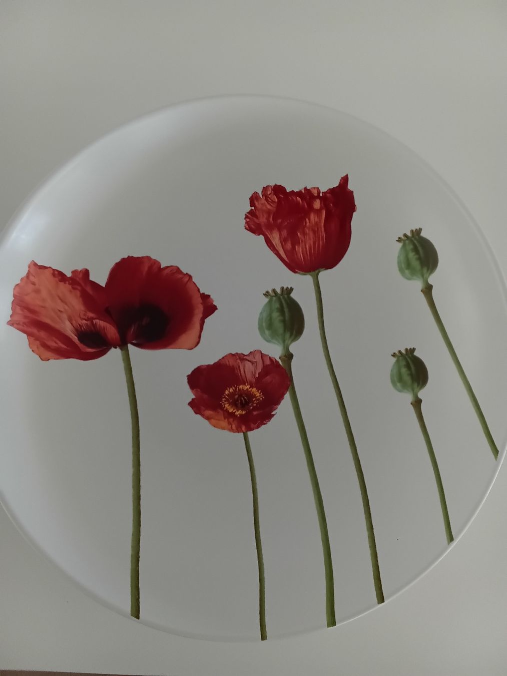 Piatti di portata: Decorative Plate with Poppies, ceramic, Diameter 37cm x 6cm  – Usato da Immensee venduto da vgitter