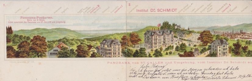 Cartoline postali: Panorama-Postkarte St. Gallen. 1902 – Usato da Schlieren venduto da Rapaelli