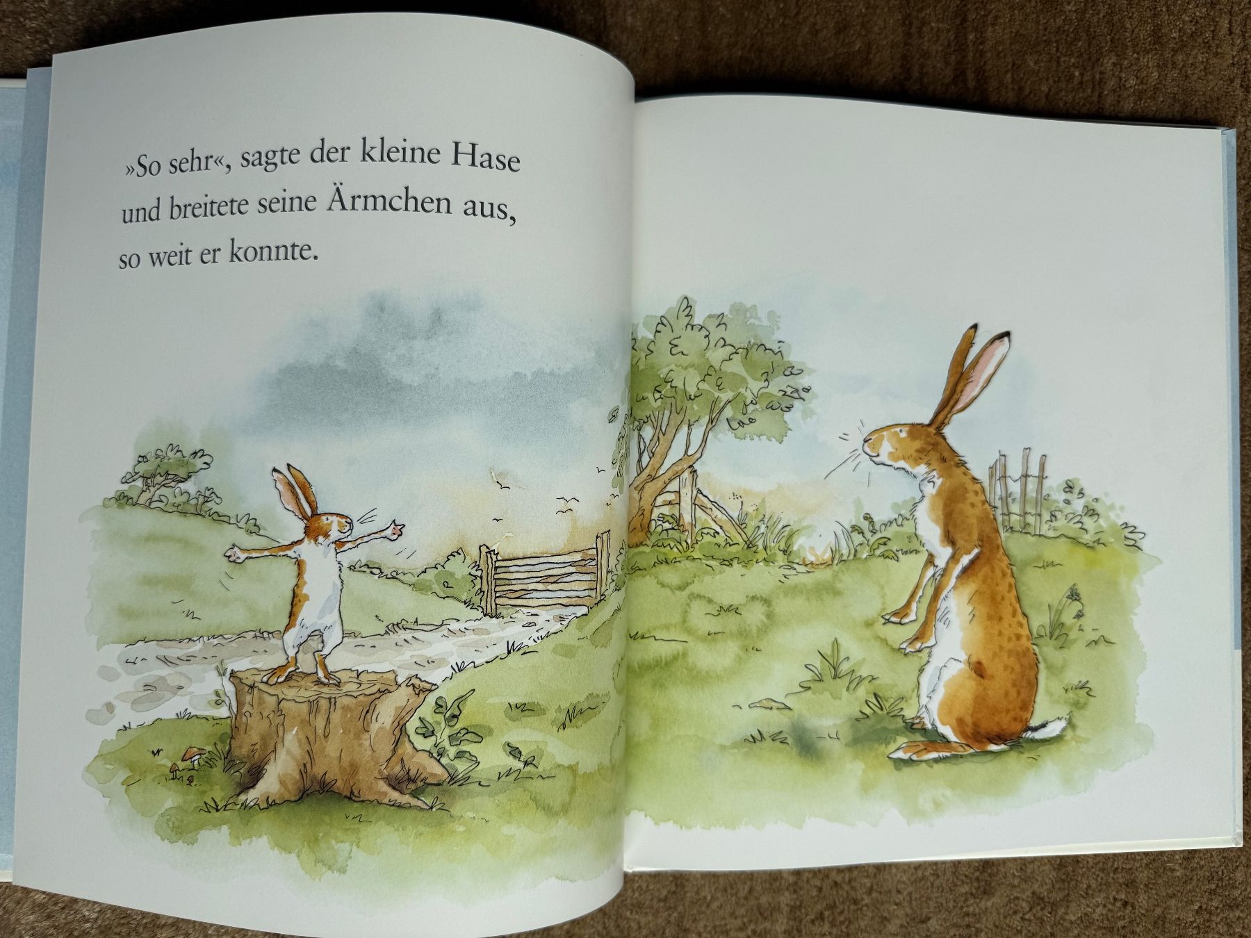 Bücher: Weisst du eigentlich wie lieb ich dich hab? – Neu (gemäss Beschreibung) aus Aarau von Kilauea 2