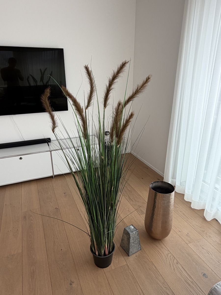 Tutte le decorazioni: Dekoration Schilf mit Vase ca 180cm hoch – Usato da Winterthur venduto da saram26 3