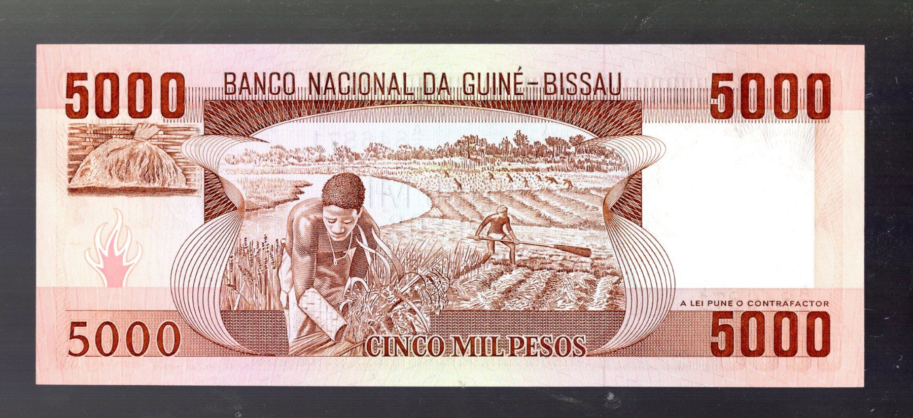 Banconote: Guinea Bissau 5000 pesos UNZ – Nuovo (secondo la descrizione) da Leibstadt venduto da baroc333