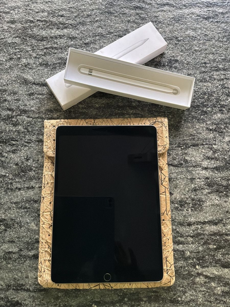 Apple Tablet PC: iPad Pro 1. Generation, 256GB, silber inkl. Apple Pencil – Usato da Bremgarten AG venduto da Belana0