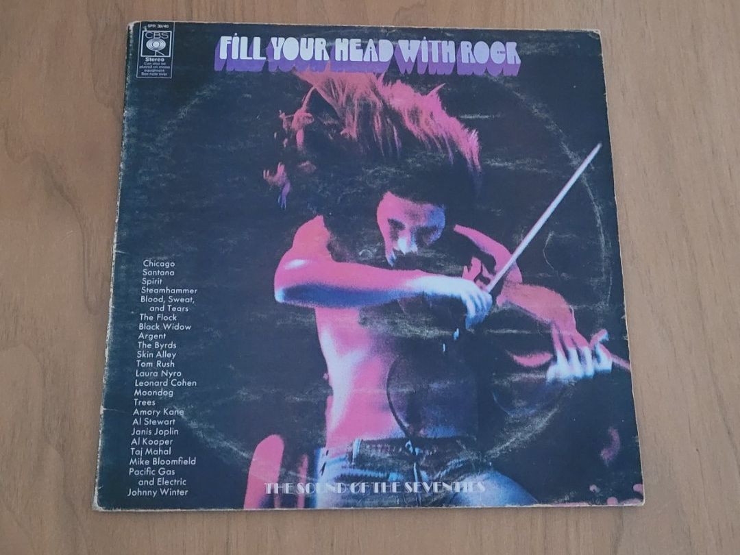 Dischi in vinile: DLP  Fill Your Head with Rock – Usato da Martigny venduto da MZ-67