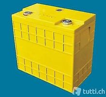 12V Lithium Power Batterie Winston mit integriertem Balancer