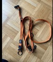 Hund Leine +Halsband 🐕