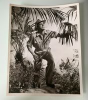 Foto 1954 David Farrar in Duel in the Jungle