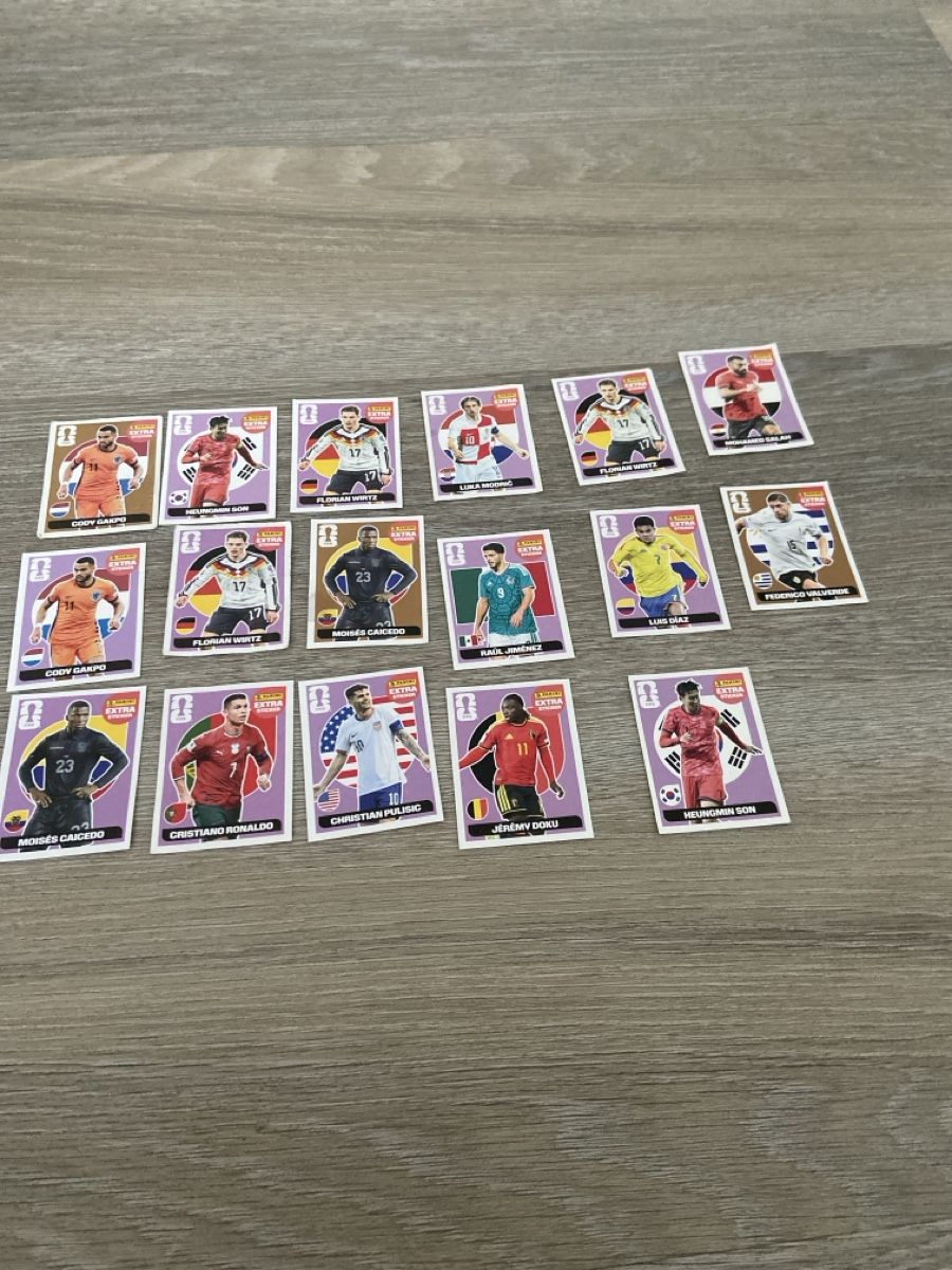 Panini Carte collezionabili: Diverse Panini Sticker 2026 – Usato da St. Gallen venduto da Dani_1977 1