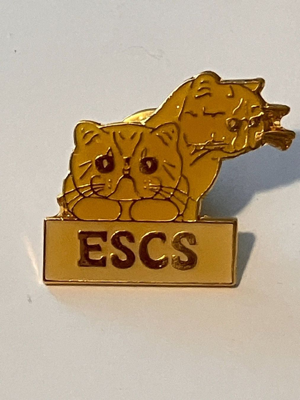 Placchette & Badge: 1 Pin ESCS – Usato da Basel venduto da djwwpp