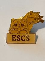 1 Pin ESCS