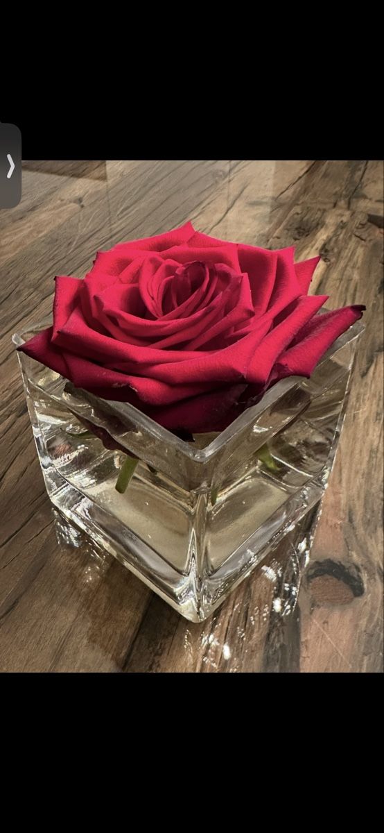 Vase & Récipients: 3 Blumenvase quadratisch  – D'occasion à Zürich par von_7vbl
