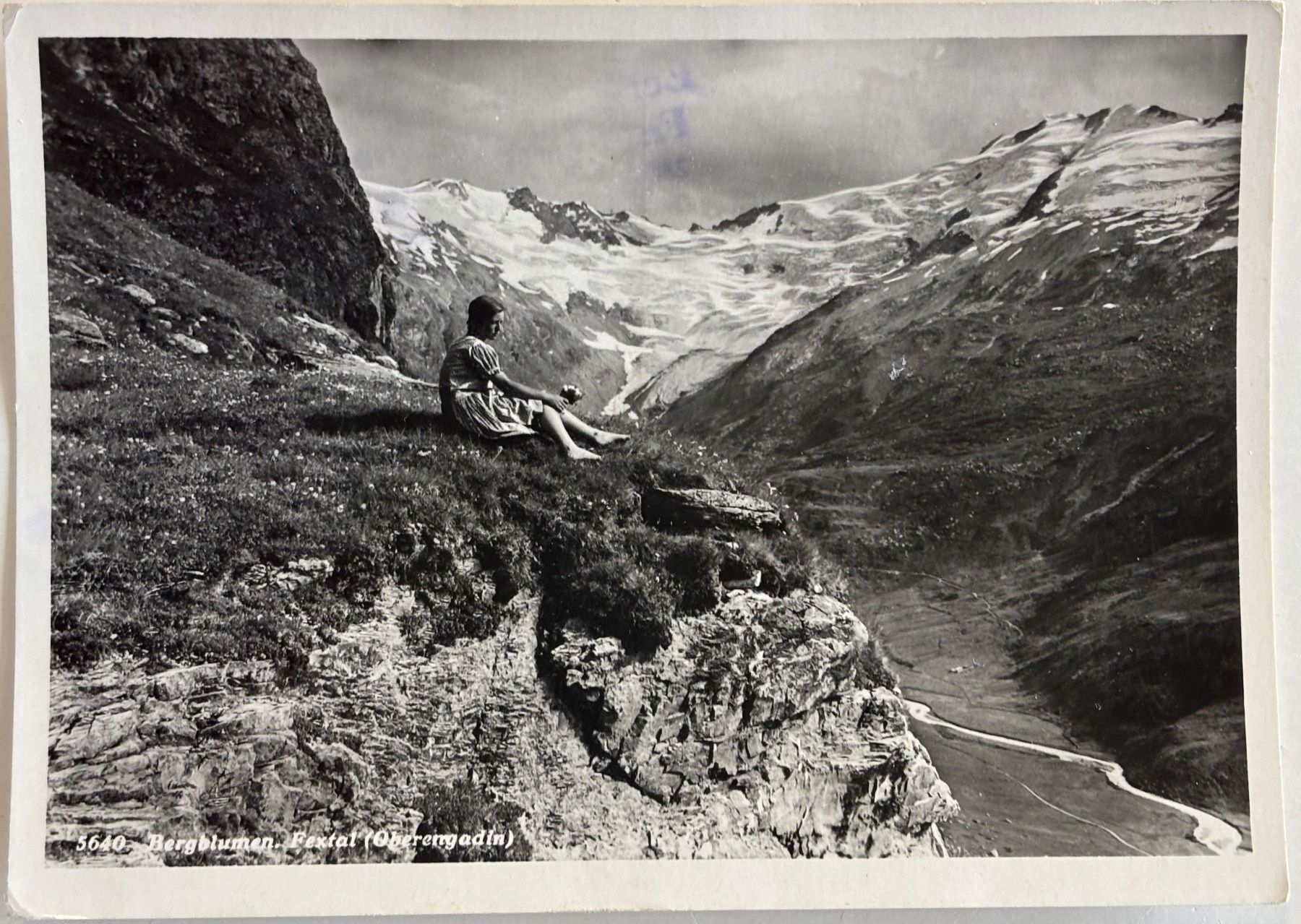 Cartoline postali: Albert Steiner, St. Moritz - Bergblumen im Fextal, Engadin – Usato da Frauenfeld venduto da Merk52