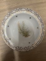 Assiette Limoges Porcelaine Décor Fougere Limousine