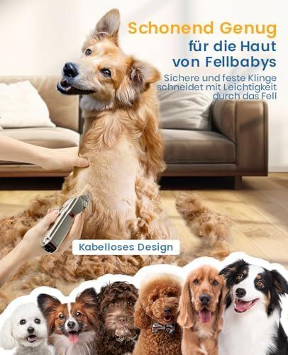 Produits de soins: Fellpflege – Neuf avec emballage d'origine à Hundwil par Stallone5 4