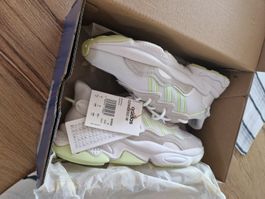 NEU!! Adidas Ozweego W Gr. 39.5 neu mit Etikett und Karton