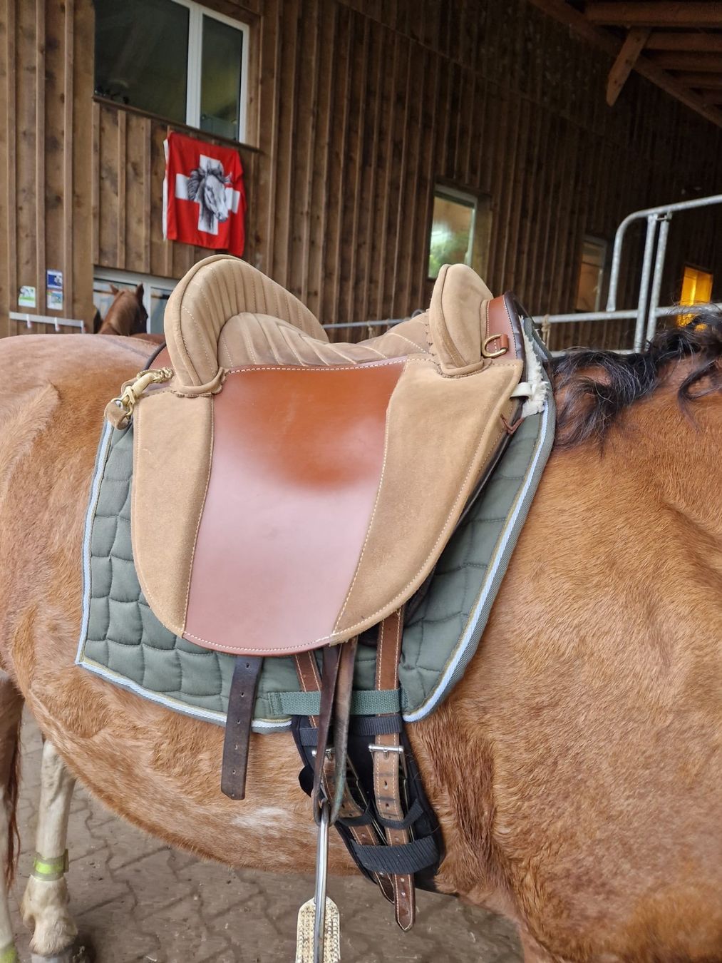 Selle & Accessori: Gebrauchter Reitsattel! – Usato da Rekingen AG venduto da tipimann 5