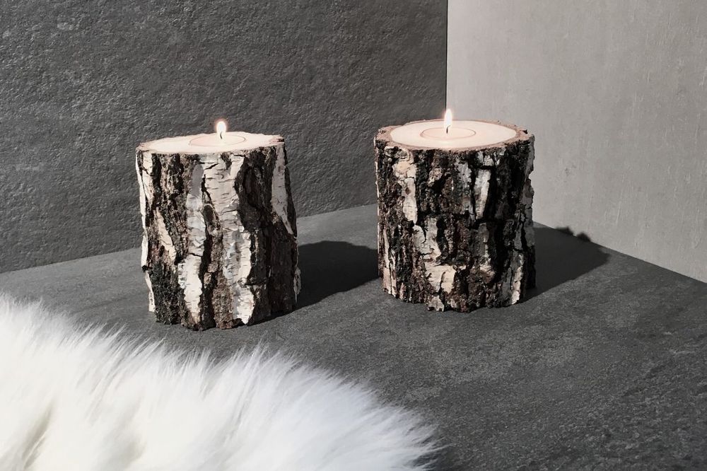 Birkenstämme, Deko, Advent, Garten 5 Stück Kaufen auf Ricardo