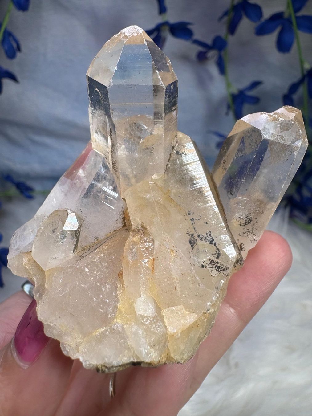 Minerali & Pietre curative: Laotischer Clear Quartz Cluster – Nuovo (secondo la descrizione) da Neuheim venduto da m.hald