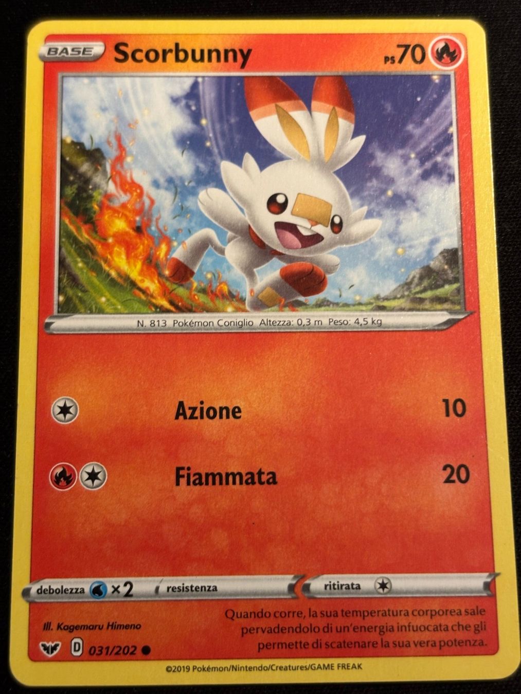 Pokémon Carte collezionabili: Pokemon Scorbunny - Sword-Shield 31/202 - Italiano – Usato da Bern venduto da Big_GS
