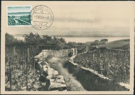 1954 - Pro Patria - Maximumkarte MK - Orts Stempel 1. August