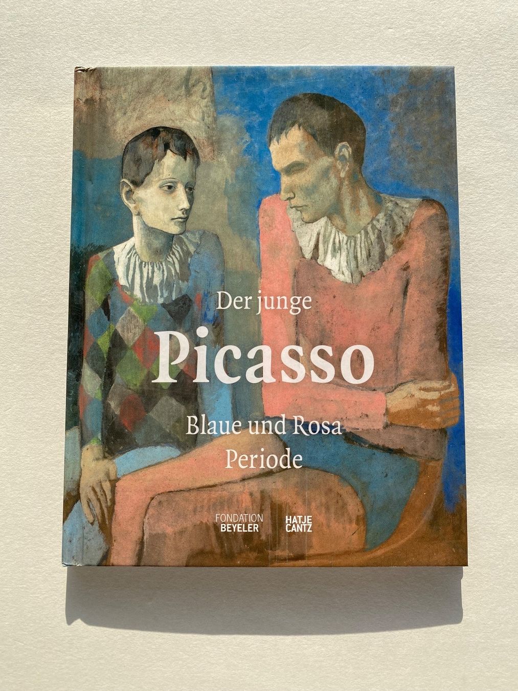 Libri: Der junge Picasso - Blau & Rosa Periode - Kunstbuch – Usato da Zürich venduto da lesgarcons 2