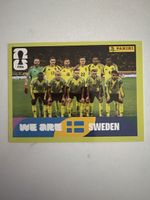 Panini SWE 13