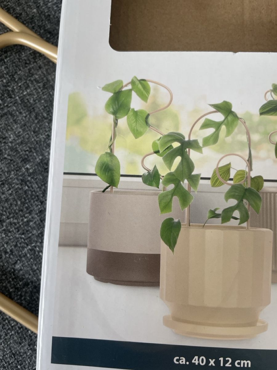Piante & sementi: Tuteurs pour plantes – Nuovo e nell'imballaggio originale da Noës venduto da titerfly 1