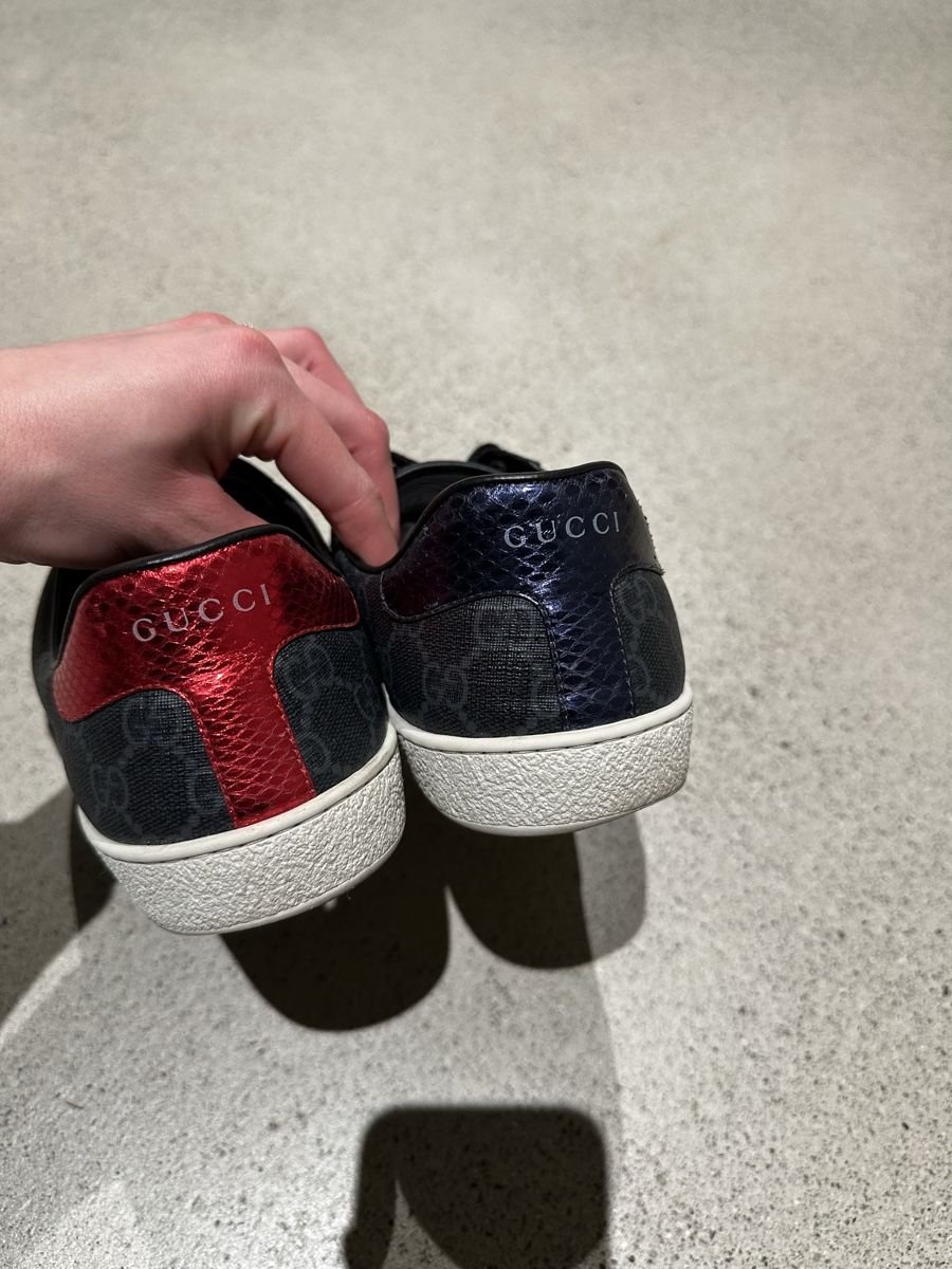 Scarpe da uomo: Gucci Ace Sneaker Gr. 42,5 – Usato da Birsfelden venduto da ant_ys8y 2