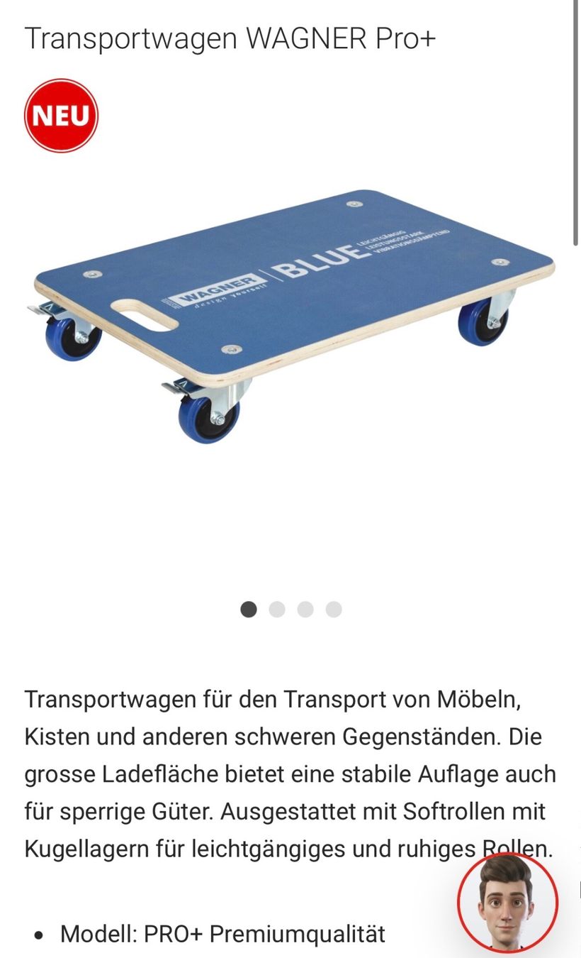 Wagner Chariots de transport: Wagner Pro Transportroller 400 Kg – Neuf (Voir description) à Hittnau par Oracel 3