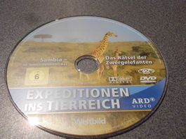 DVD Expeditionen ins Tierreich,  Sambia - im wilden Herzen A