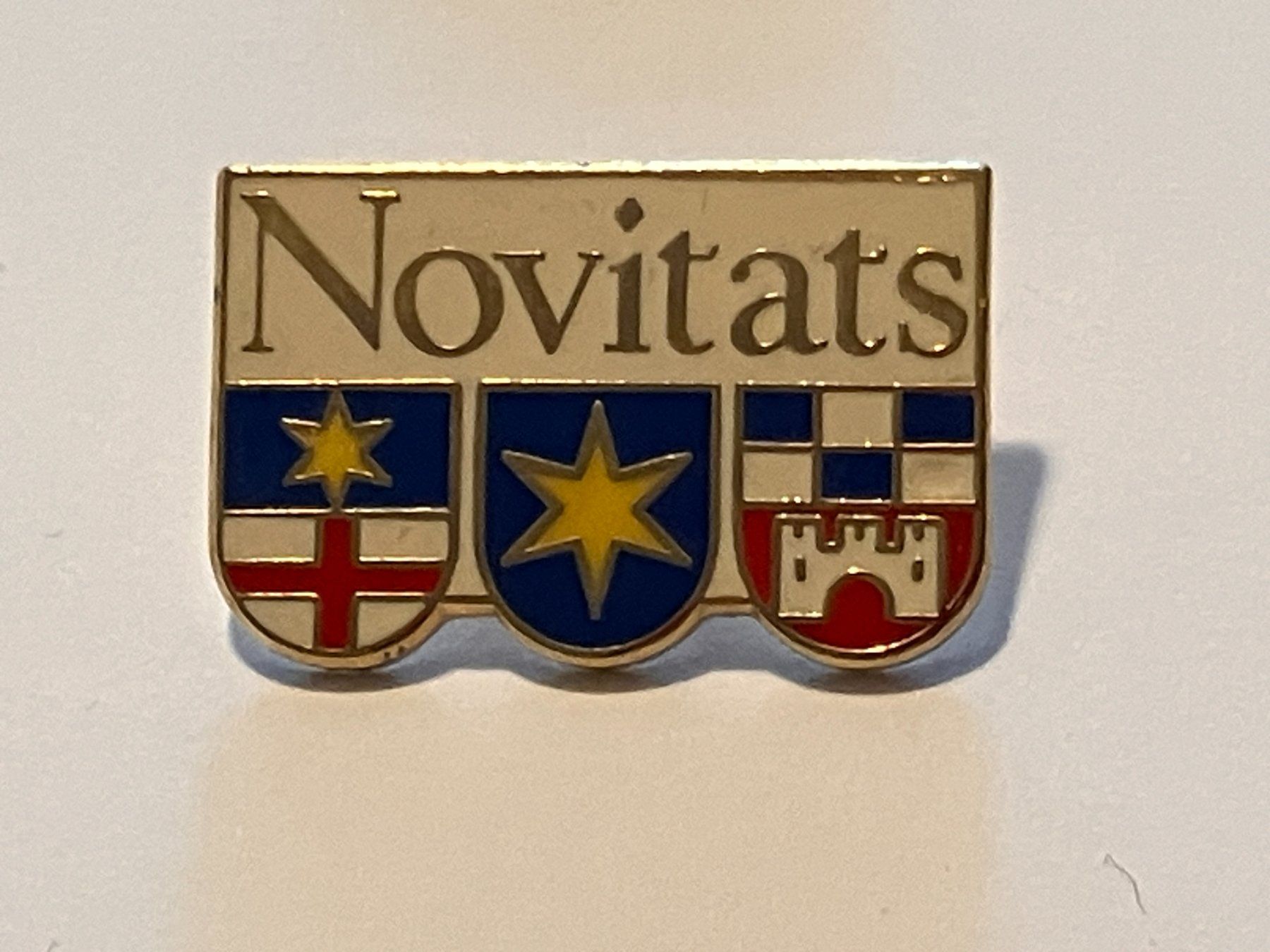 Placchette & Badge: 1 Pin Novitats – Usato da Basel venduto da djwwpp