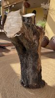 Oliven-Holzstamm natur belassen guter Zustand