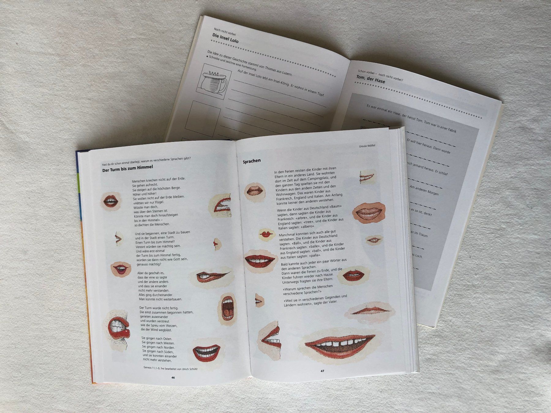 Libri: Schweizer Sprachbuch 4 mit Arbeitsheft – Usato da St.Gallen venduto da Paddington11 5