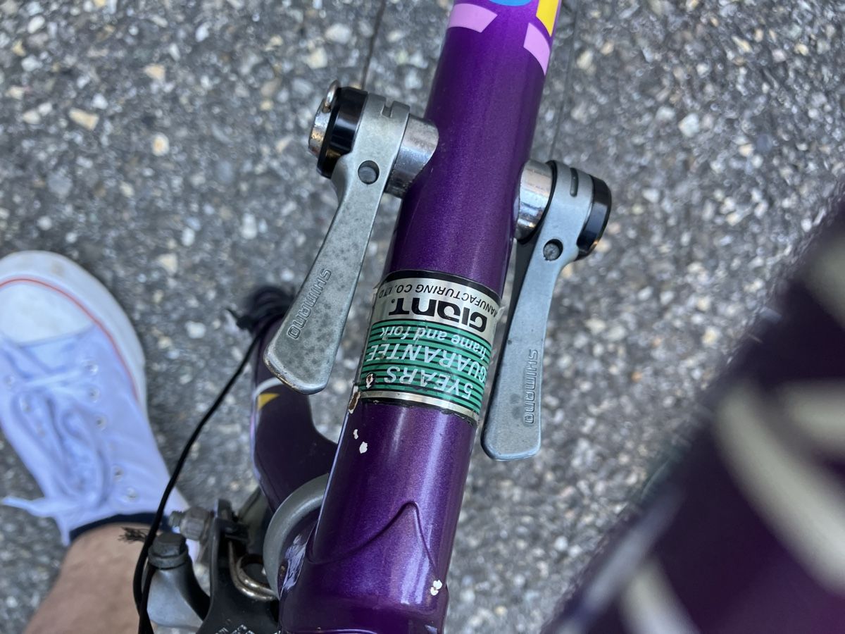 Giant Pezzi di ricambio: Rennvelo Rahmen Giant Peloton Lite – Difettoso da Reigoldswil venduto da GNVeluxboost 6