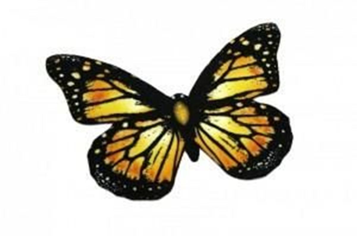 Tappeti: Kurzflorteppich-BUTTERFLY gelb/schw. – Nuovo e nell'imballaggio originale da Rupperswil venduto da big-one-sale