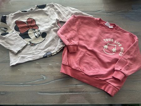 2 Kinder Pullover Zara Grösse 98-104 🎀💕