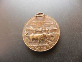Medaille Exposition Agriculture Lausanne 1910