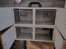 Cage oiseaux