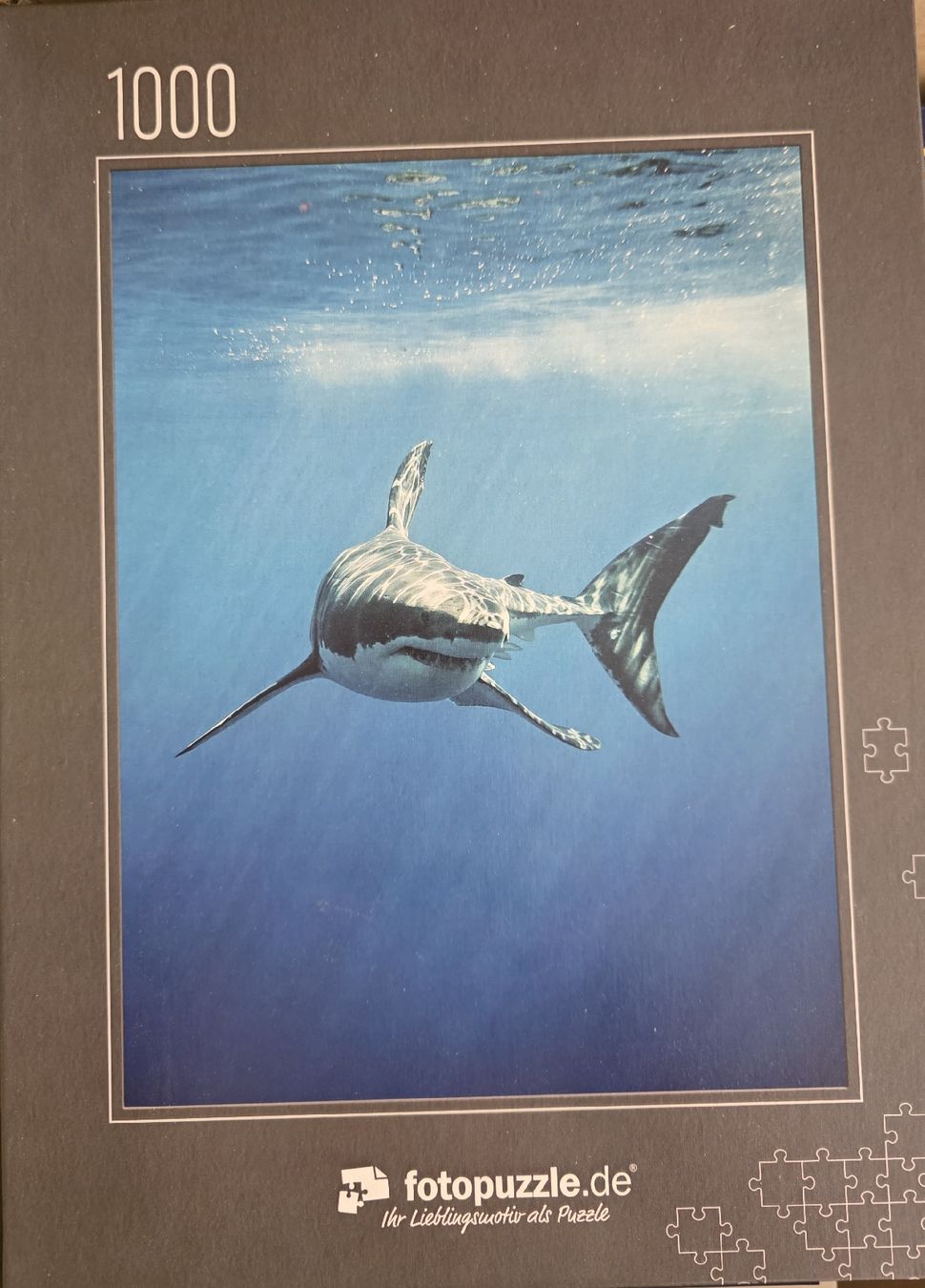 Puzzles: Puzzle Hai 1000 Teile – Gebraucht aus St. Gallen von Shelly__x3