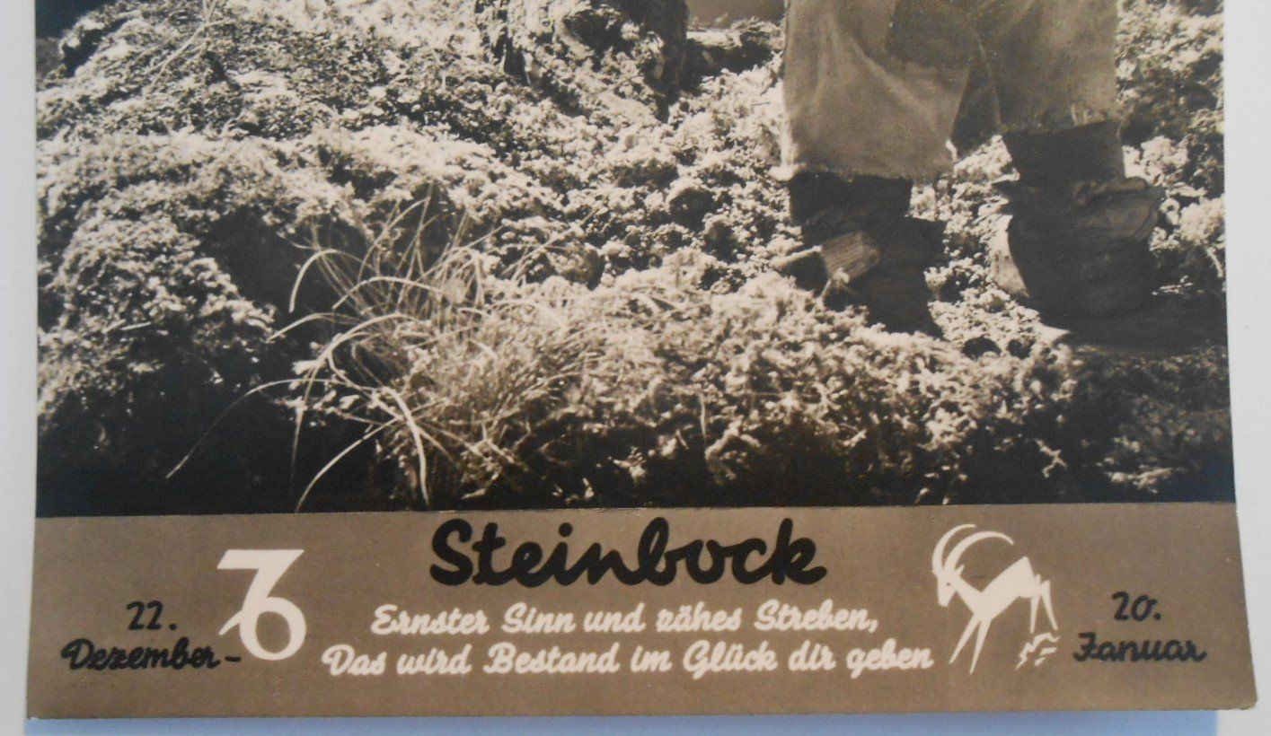 Cartoline postali: MECKI 501, Sternzeichen Steinbock – Usato da Bülach venduto da anska 1