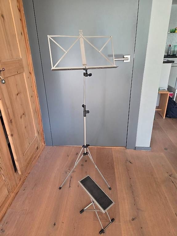 Yamaha Strumenti musicali: Gitarre – Nuovo (secondo la descrizione) da Mettmenstetten venduto da Sa.schmid 1