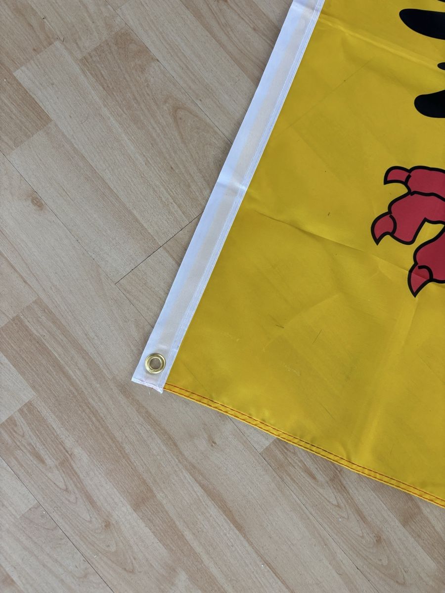 Fahnen: Genfer Fahne, 90 x 90cm – Gebraucht aus Witterswil von Bysser 1