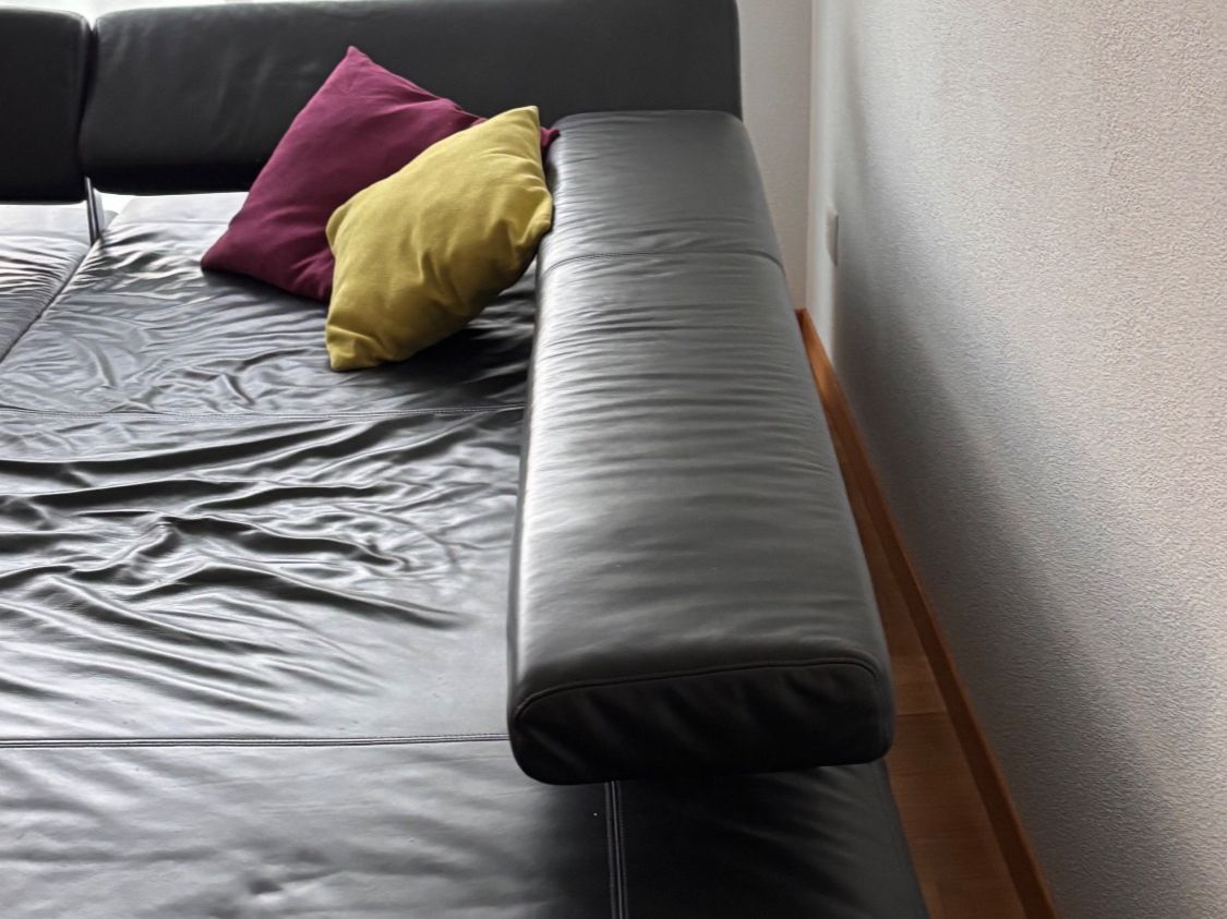 Sofas: Ledersofa – Gebraucht aus Landschlacht von tabu04 2
