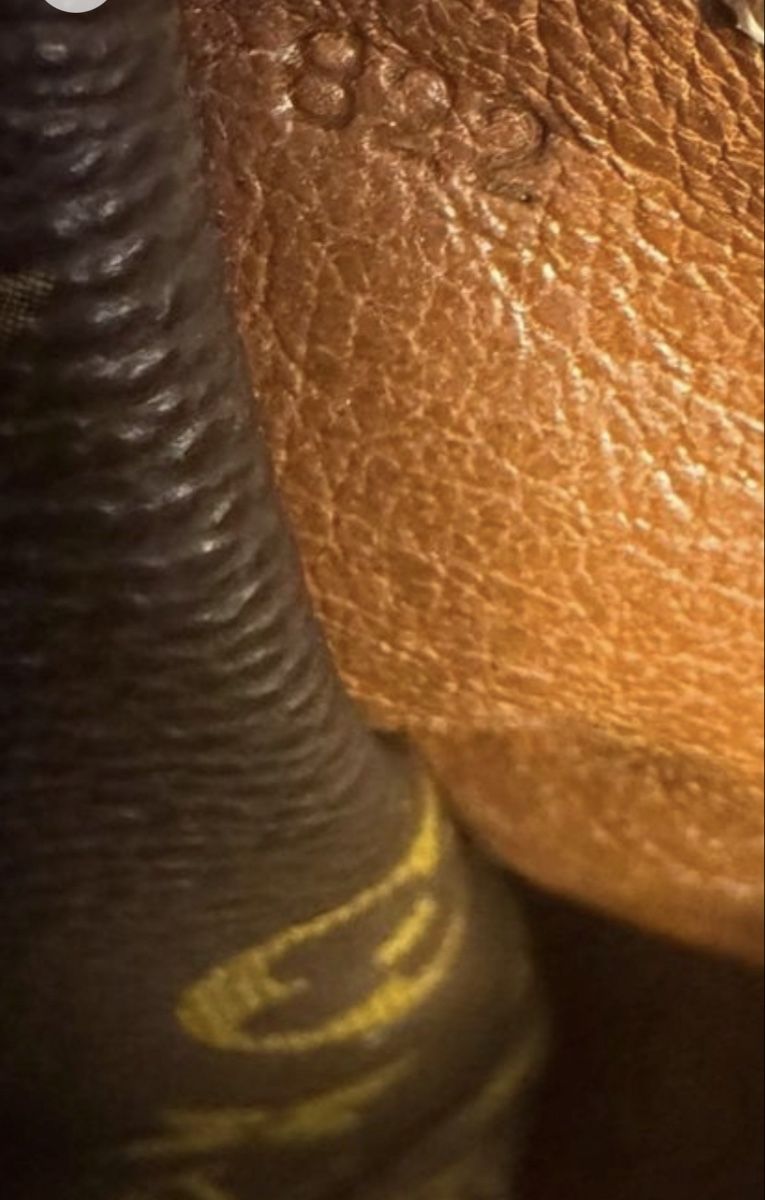 Louis Vuitton Borse: Louis viitton – Usato da Brugg AG venduto da Ljubinka0410 3