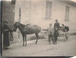 Locarno (TI) – Carrozza trainata da cavallo nel borgo