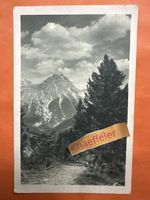 1920 aus dem schweizerischen Nationalpark. Scarlgebiet 