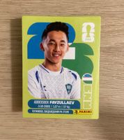 54 verschiedene Panini Sticker WM 2026