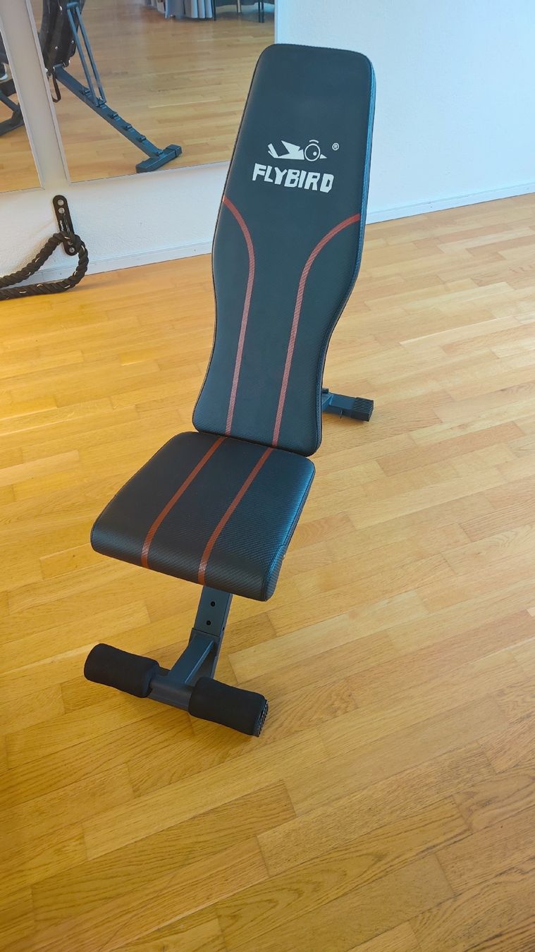 Hometrainer: FLYBIRD Weight Bench Adjustable Exercise Equipment – Usato da Regensdorf venduto da Jehutyone