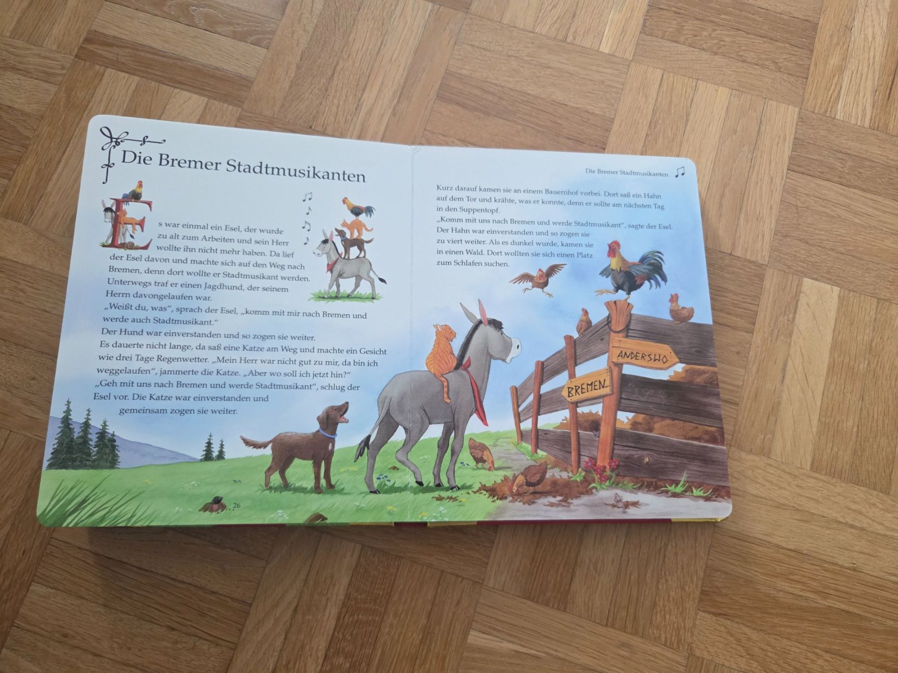 Libri: Buch Meine ersten Märchen der Brüder Grimm – Usato da Rudolfstetten venduto da anjam81 2