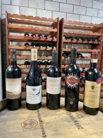 10X Flaschen Italienischer Wein aus der Toskana