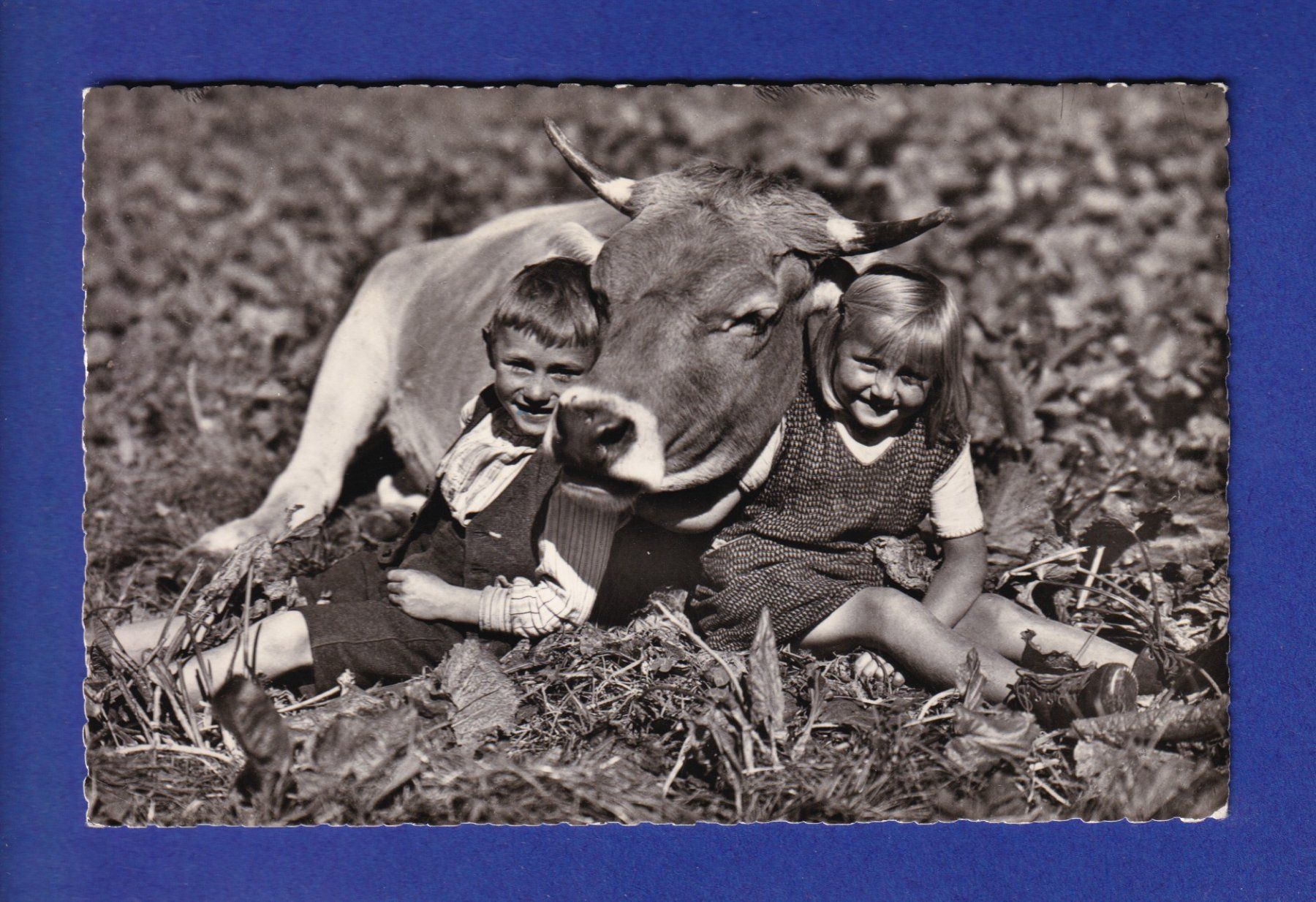 Cartes postales: ENFANT - Avec une vache – D'occasion à Pully par nicecards-shop